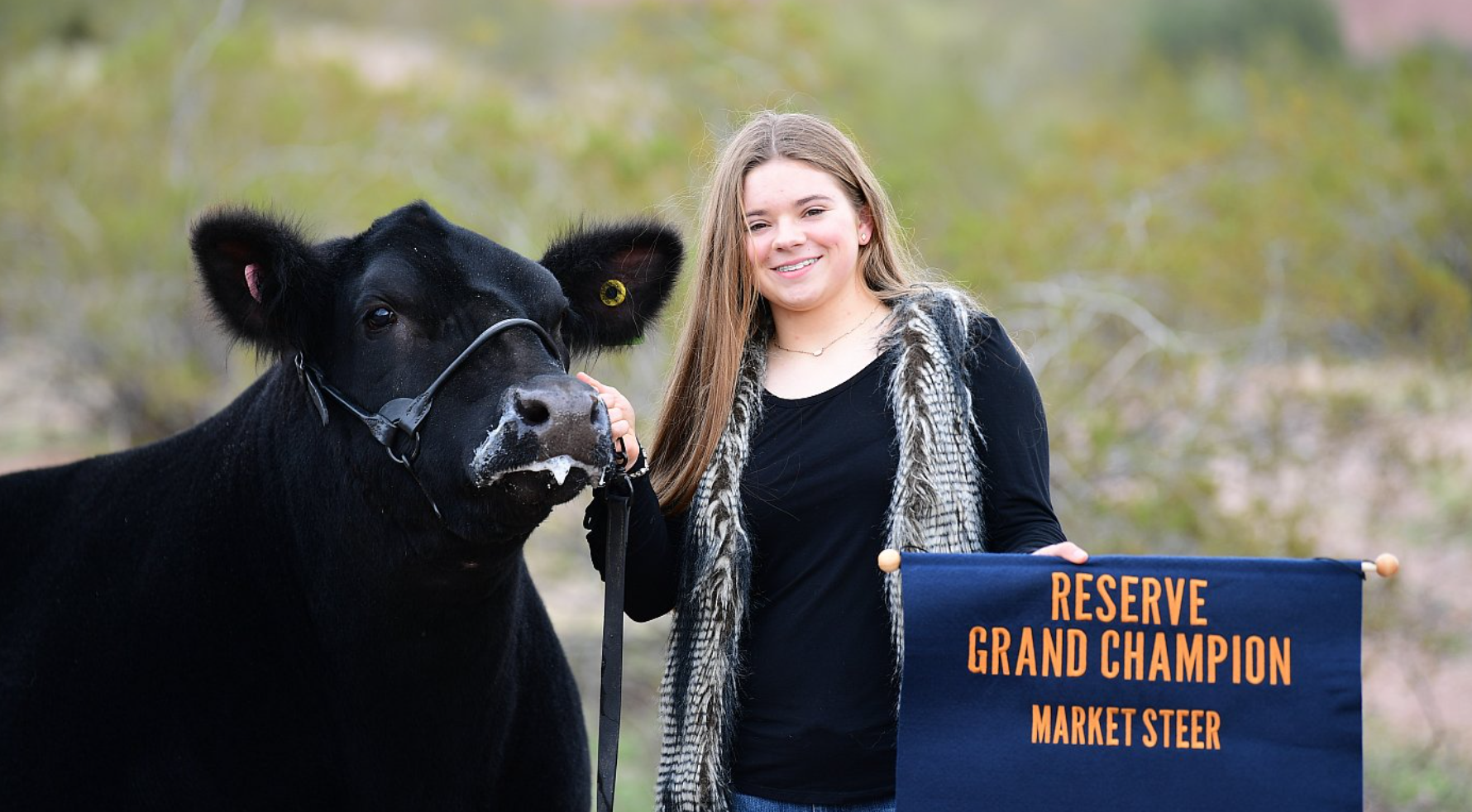 Screenshot 2023-12-11 172116